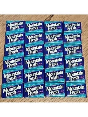 24 Bars Dial Deodorant Soap Hotel & Travel Size Mountain Fresh .64 oz ea New